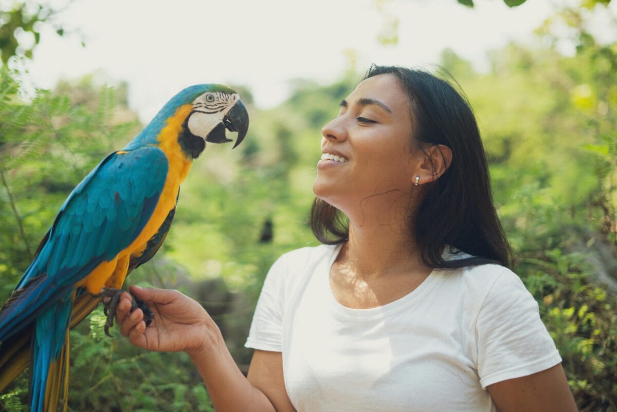 Nearby Blue & Gold Macaw - Image 1